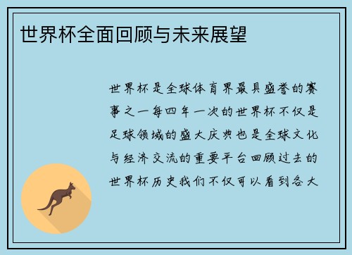 世界杯全面回顾与未来展望